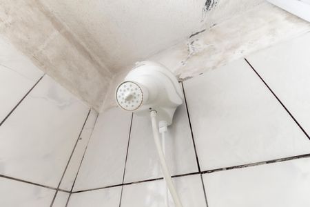 Banheiro de apartamento para alugar com 2 quartos, 43m² em Jardim Marilú, São Paulo