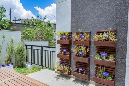 Apartamento para alugar com 37m², 2 quartos e sem vaga Apartamento para alugar com 37m², 2 quartos e sem vagaHorta comunitária