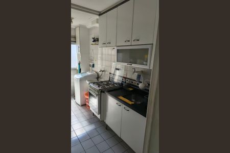 Cozinha de apartamento para alugar com 2 quartos, 48m² em Jardim Celeste, São Paulo