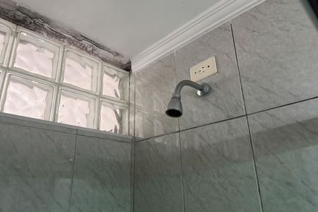 Apartamento para alugar com 220m², 4 quartos e 1 vagaBanheiro da Suíte 1