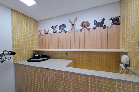 Apartamento para alugar com 65m², 2 quartos e 1 vaga Apartamento para alugar com 65m², 2 quartos e 1 vagaPet