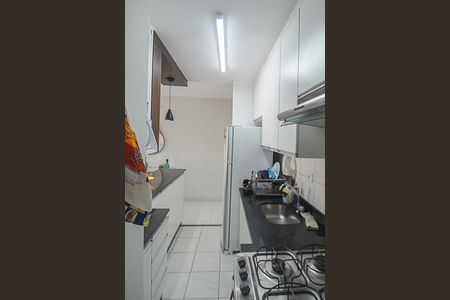 Cozinha de apartamento para alugar com 2 quartos, 47m² em Vila Goncalves, São Bernardo do Campo