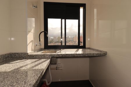 Área de Serviço de apartamento para alugar com 2 quartos, 44m² em Parque Oratório, Santo André