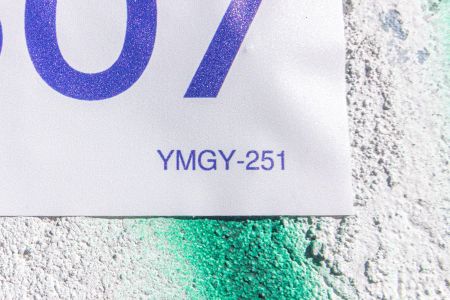 YMGY-251 de casa para alugar com 4 quartos, 132m² em Mooca, São Paulo