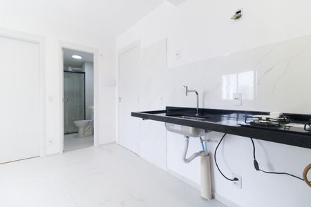 Cozinha  de apartamento para alugar com 2 quartos, 34m² em Ipiranga, São Paulo