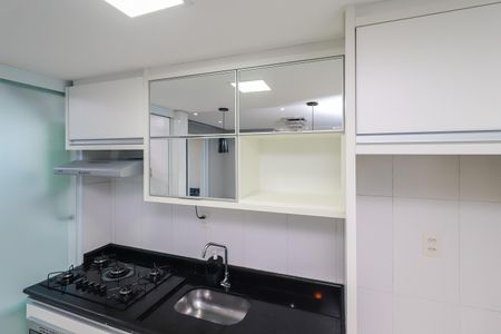 Apartamento para alugar com 52m², 2 quartos e 1 vagaCozinha - Armários