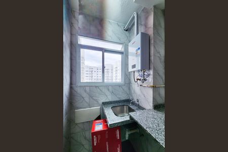 Área de Serviço  de apartamento para alugar com 2 quartos, 42m² em Santo Cristo, Rio de Janeiro