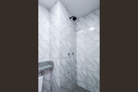 Banheiro  de apartamento para alugar com 2 quartos, 42m² em Santo Cristo, Rio de Janeiro