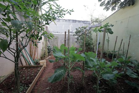 Jardim de casa à venda com 3 quartos, 150m² em Parque Novo Oratório, Santo André