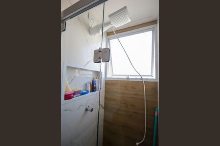 Banheiro Social de apartamento para alugar com 2 quartos, 44m² em Usina Piratininga, São Paulo