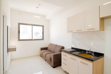 Sala de apartamento para alugar com 1 quarto, 29m² em Vila Aricanduva, São Paulo