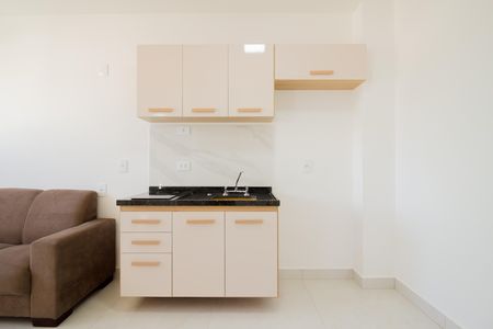 Cozinha de apartamento para alugar com 1 quarto, 29m² em Vila Aricanduva, São Paulo