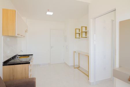 Sala de apartamento para alugar com 1 quarto, 29m² em Vila Aricanduva, São Paulo