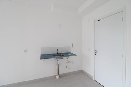 Cozinha de apartamento para alugar com 1 quarto, 29m² em Planalto Paulista, São Paulo