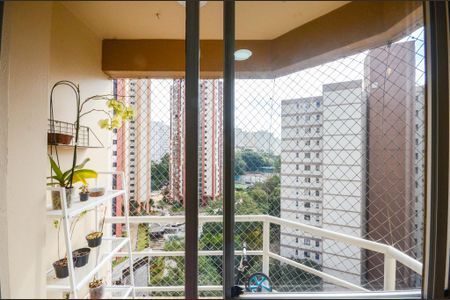 Sala - Sacada de apartamento à venda com 3 quartos, 68m² em Jardim Iris, São Paulo
