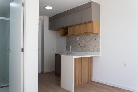 Studio de kitnet/studio para alugar com 1 quarto, 26m² em Santo Amaro, São Paulo