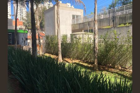 Área comum - Mercadinho de apartamento para alugar com 2 quartos, 32m² em Jardim Celeste, São Paulo