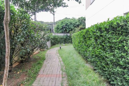 Área comum de apartamento para alugar com 2 quartos, 49m² em Quinta da Paineira, São Paulo
