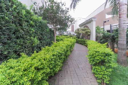 Área comum de apartamento para alugar com 2 quartos, 49m² em Quinta da Paineira, São Paulo