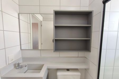Banheiro de apartamento para alugar com 2 quartos, 46m² em Jardim do Lago Ii, Campinas