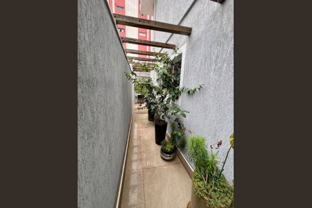 Foto 37 de casa à venda com 3 quartos, 300m² em Vila Mascote, São Paulo