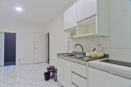 Kitnet/Studio para alugar com 1 quarto, 35m² em Vila Amalia (zona Norte), São Paulo