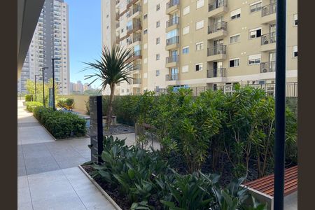 Áreas Comuns de apartamento para alugar com 1 quarto, 49m² em Vila Sonia, São Paulo