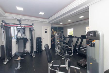 Apartamento à venda com 56m², 3 quartos e 1 vaga Apartamento à venda com 56m², 3 quartos e 1 vagaÁrea comum - Academia