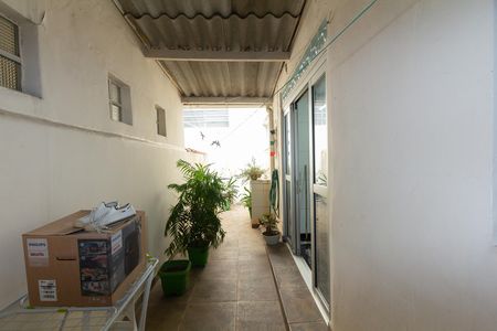 Apartamento à venda com 112m², 3 quartos e 1 vaga Apartamento à venda com 112m², 3 quartos e 1 vagaQuintal