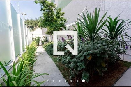 Área comum de apartamento para alugar com 2 quartos, 39m² em Sacomã, São Paulo
