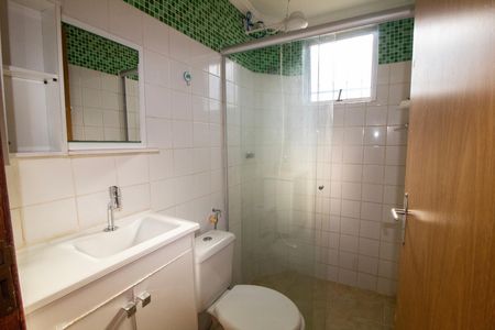 Banheiro Social  de apartamento à venda com 2 quartos, 50m² em Madre Gertrudes, Belo Horizonte