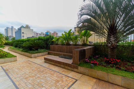 Área comum de apartamento à venda com 2 quartos, 72m² em Cambuci, São Paulo
