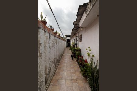 Área Comum de casa para alugar com 1 quarto, 50m² em Vila Paranagua, São Paulo
