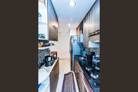Cozinha de apartamento para alugar com 2 quartos, 70m² em Moinho Velho, São Paulo