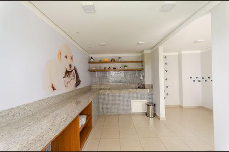 Apartamento para alugar com 35m², 2 quartos e sem vaga Apartamento para alugar com 35m², 2 quartos e sem vagaEspaço Pet