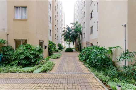 Apartamento para alugar com 35m², 2 quartos e sem vaga Apartamento para alugar com 35m², 2 quartos e sem vagaÁrea comum