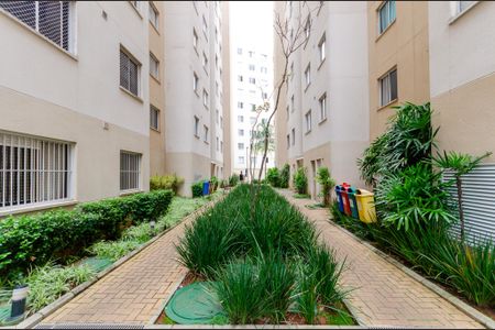 Área comum de apartamento para alugar com 2 quartos, 35m² em Jardim Iris, São Paulo