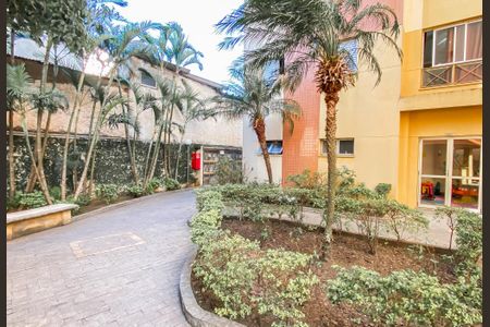 Área comum de apartamento para alugar com 2 quartos, 48m² em Vila Ré, São Paulo