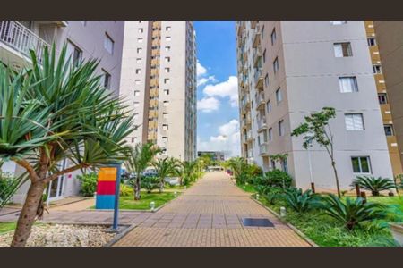 Apartamento à venda com 3 quartos, 66m² em Jardim Belaura, São Paulo