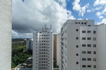 Vista da Suíte de apartamento para alugar com 2 quartos, 56m² em Planalto, São Bernardo do Campo
