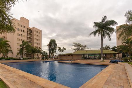 Área comum - Piscina de apartamento à venda com 3 quartos, 68m² em Loteamento Parque São Martinho, Campinas