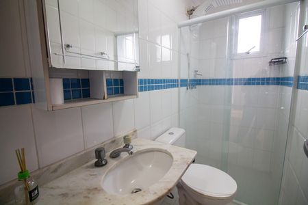 Banheiro de apartamento para alugar com 2 quartos, 54m² em Vila das Belezas, São Paulo