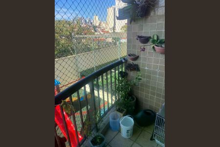 Apartamento à venda com 3 quartos, 80m² em Santana, São Paulo