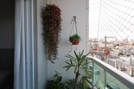 Apartamento à venda com 83m², 3 quartos e 2 vagas Apartamento à venda com 83m², 3 quartos e 2 vagasVaranda da Suíte