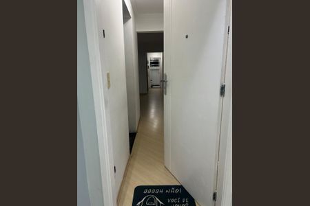 Corredor de apartamento para alugar com 2 quartos, 66m² em Parque Paineiras, São Paulo