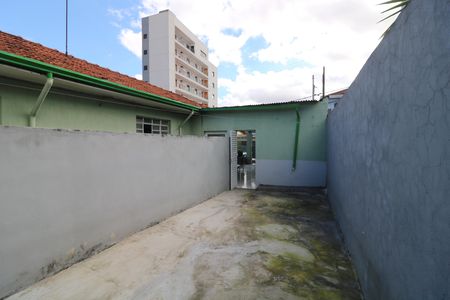 Quintal de casa para alugar com 1 quarto, 40m² em São Lucas, São Paulo