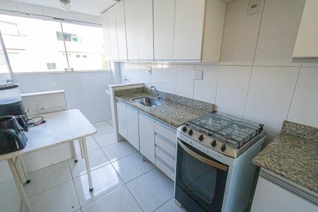 cozinha de apartamento para alugar com 2 quartos, 70m² em Santa Rosa, Belo Horizonte