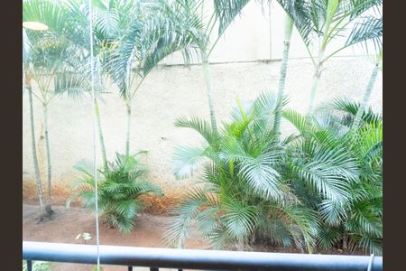Vista da Varanda de apartamento para alugar com 2 quartos, 87m² em Jardim Ypê, Paulínia