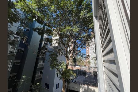 Vista do Quarto 1 de apartamento para alugar com 2 quartos, 56m² em Parque Reboucas, São Paulo