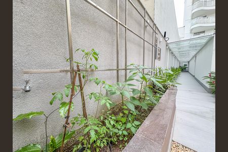 Apartamento para alugar com 68m², 1 quarto e sem vaga